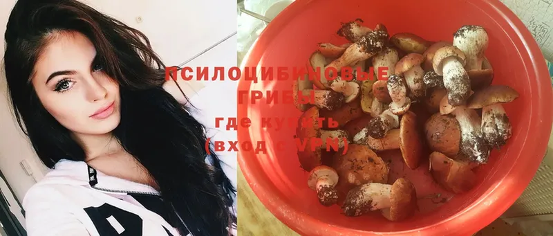 купить наркотики цена  Зеленоградск  Псилоцибиновые грибы Psilocybe 